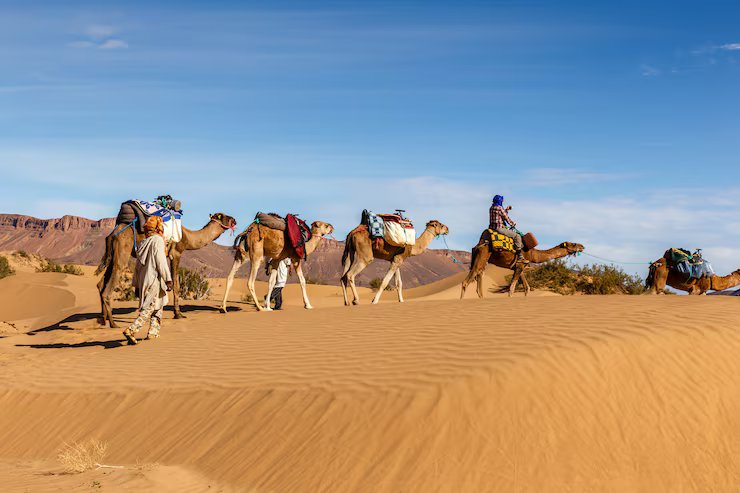 Desert Safari Tours